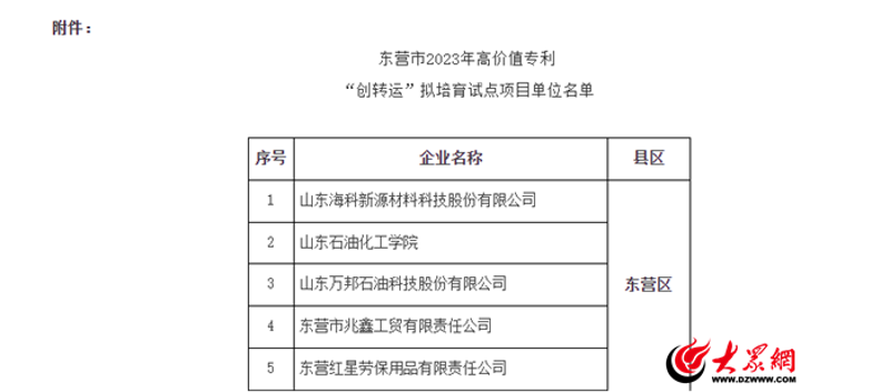 东营项目申报